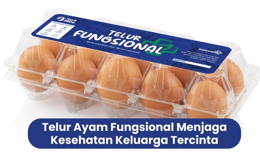 Program “Telur Moe”: Inovasi MPM PP Muhammadiyah Berdayakan Difabel di Sektor Peternakan